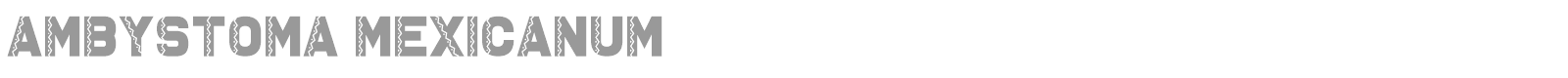 Ambystoma Mexicanum font preview